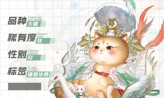 灵猫传橘灵王母猫咪图鉴分享