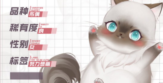 灵猫传布萌萌猫咪图鉴分享