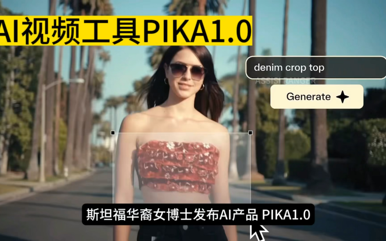 《pika》功能使用教程