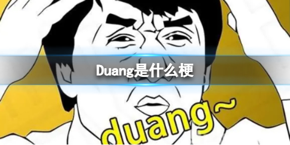Duang是什么梗1